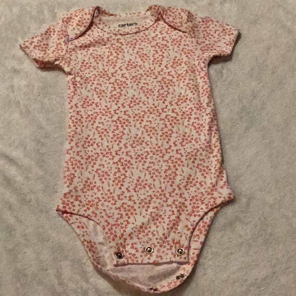 Carter's Blue and Pink Bodysuits Set for Infants - Picture 6 of 10